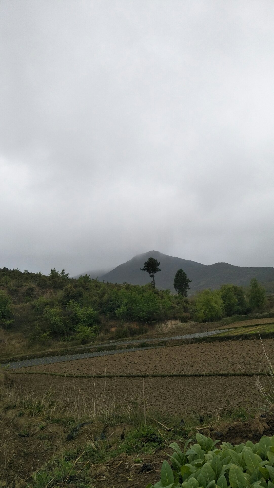 麻科村今日天气预报通知